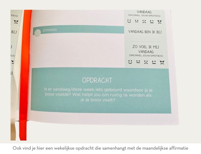 Home Sweet Homes, Een Journal & Planner Voor Kind en Co-ouders (Nederlandse versie), FSC Mix® C074709