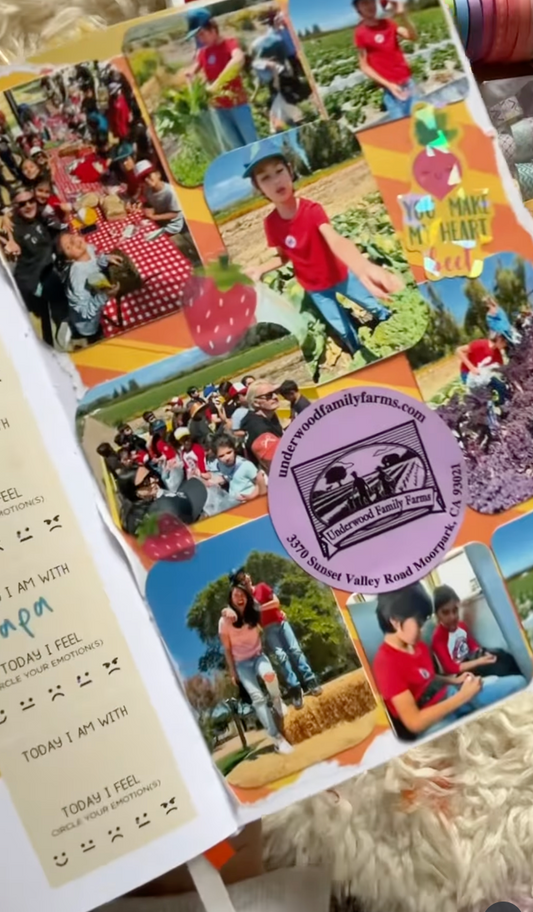 Creatief Journallen: Zo Maak je een Leuke Collage in je Weekjournal 📓✨